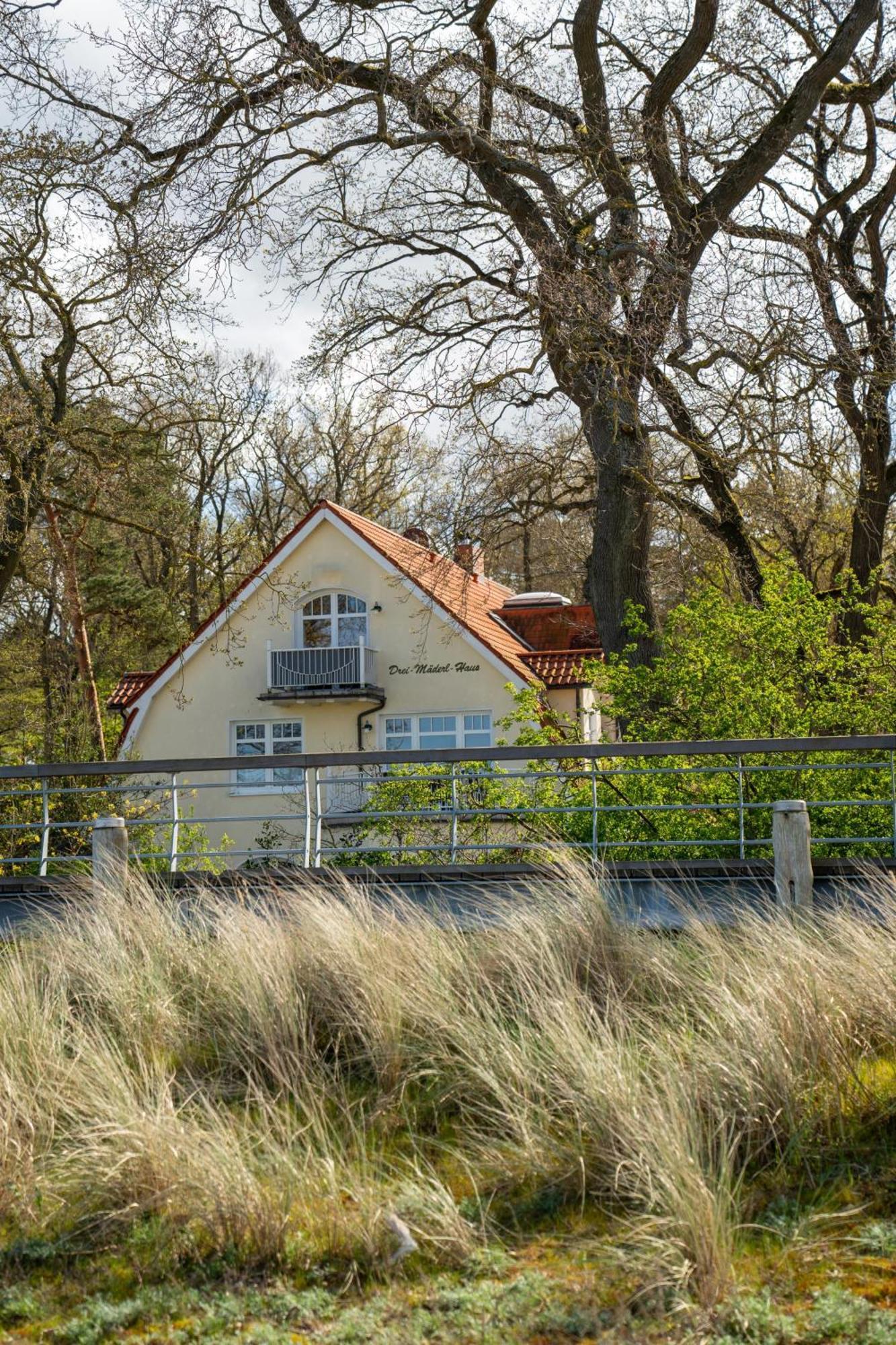 Strandvilla Drei Maederl Haus Boltenhagen  Εξωτερικό φωτογραφία